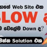 Transform your website with premium cloud hosting solutions from Digital Boost Masters. Get 10X faster speeds, 99.9% uptime & 24/7 support. Sri Lanka's trusted cloud hosting provider